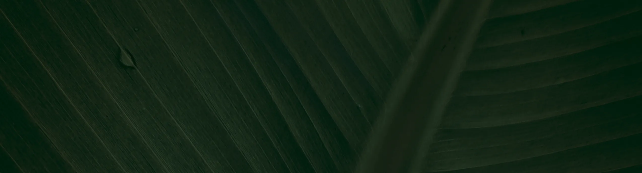 Apple Cider Vinegar 500ml